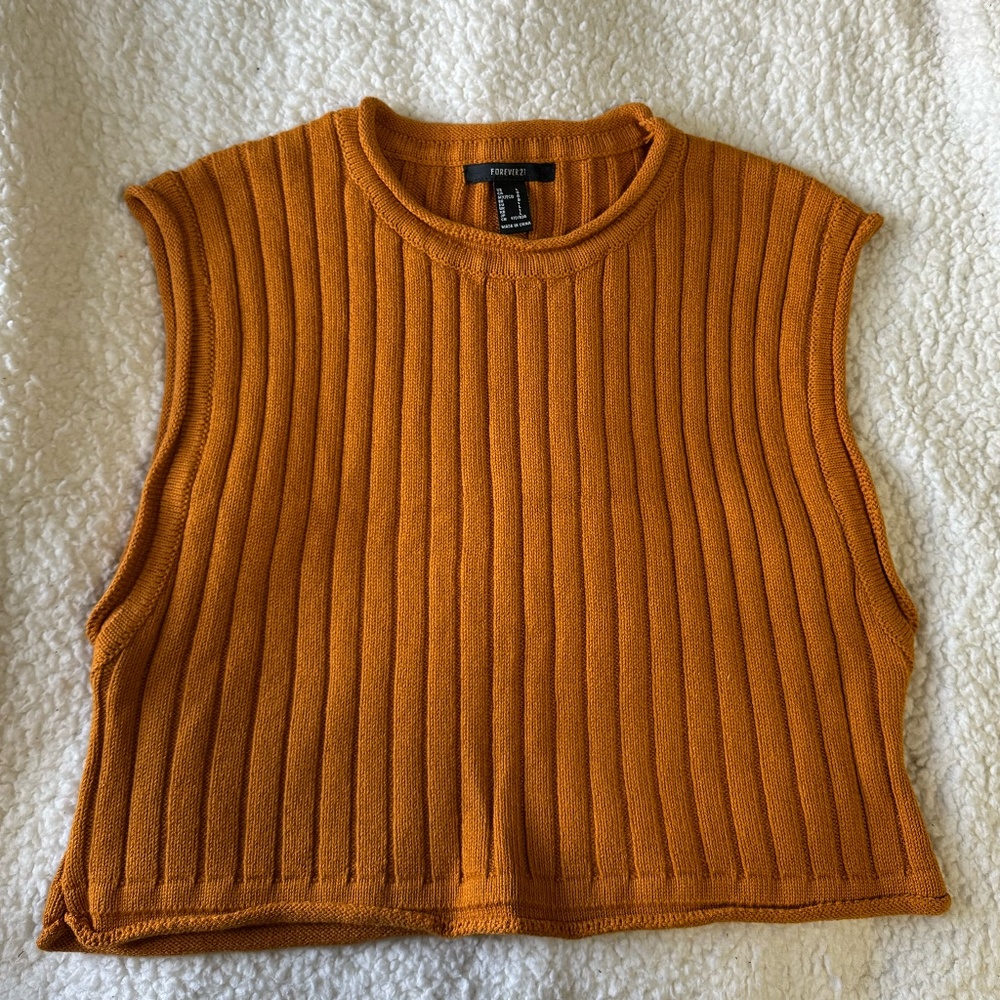 Forever 21 Crop Knit Top